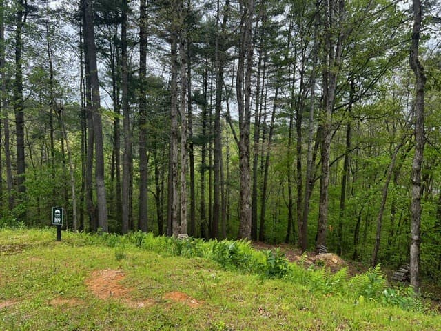 109R Red Oak Trail, Ellijay GA 30540 - Photo