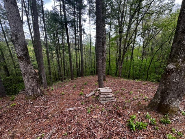109R Red Oak Trail, Ellijay GA 30540 - Photo