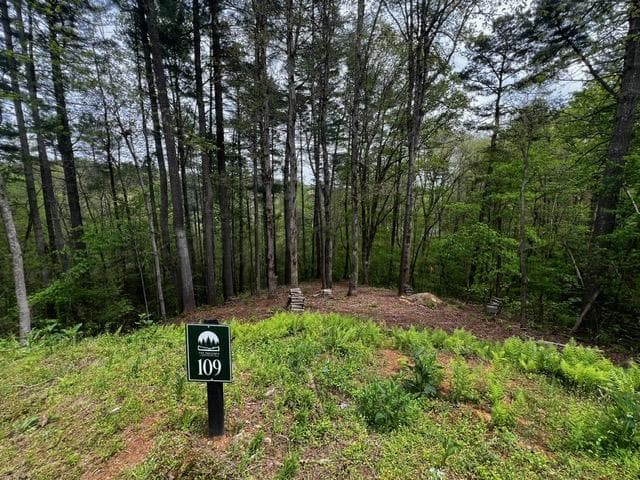 109R Red Oak Trail, Ellijay GA 30540 - Primary photo