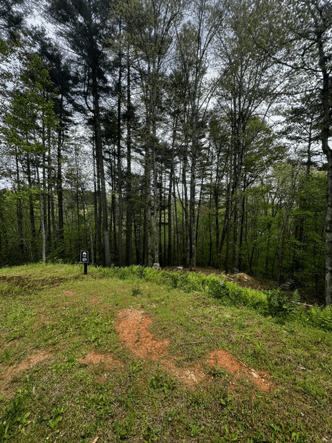 109R Red Oak Trail, Ellijay GA 30540 - Photo
