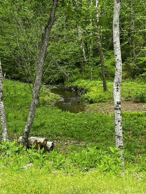 109R Red Oak Trail, Ellijay GA 30540 - Photo