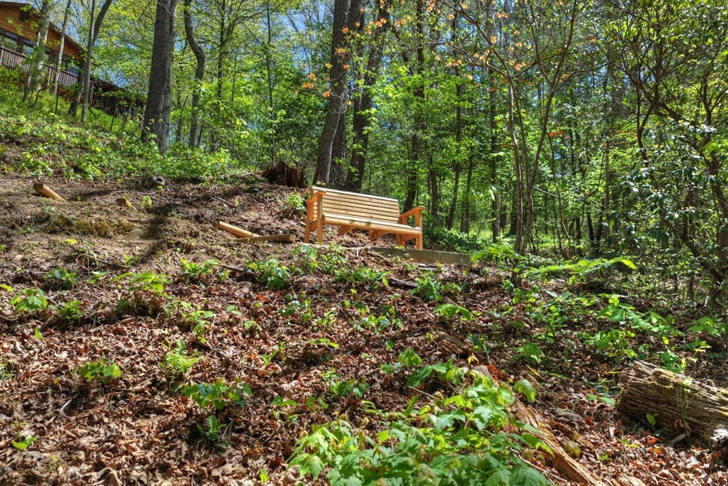509 Ponderosa, Ellijay GA 30540 - Photo