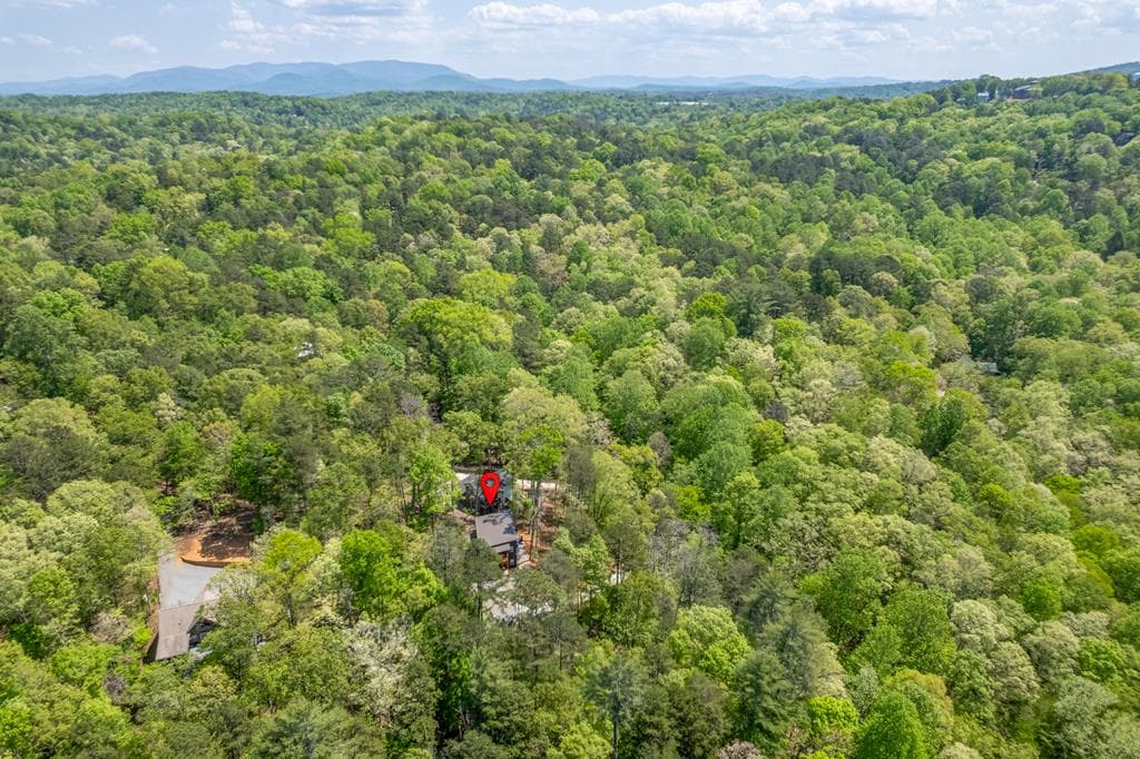 200 Echo Lane, Ellijay GA 30540 - Photo