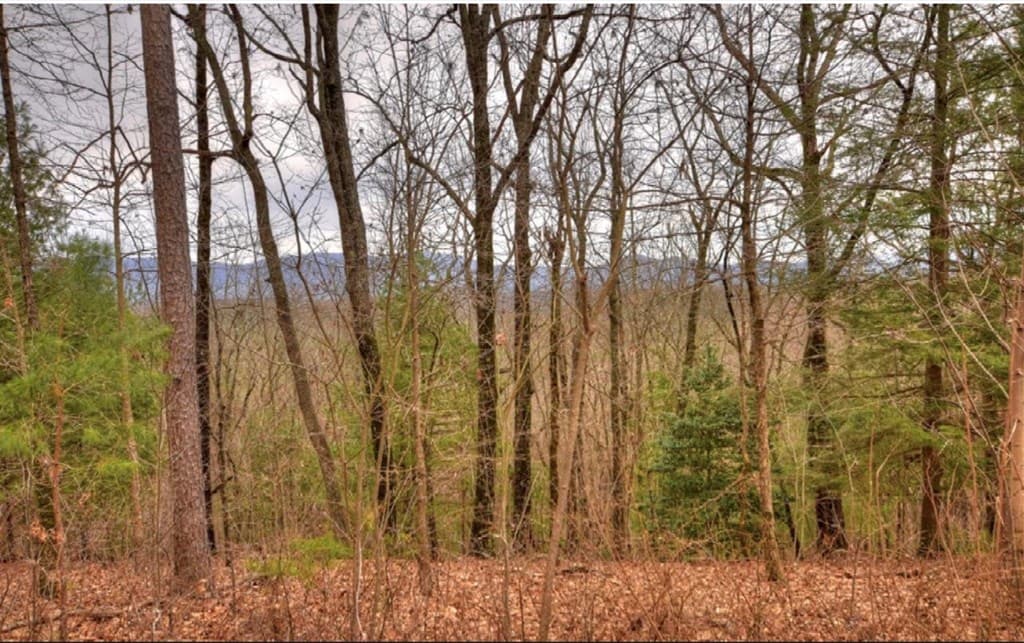 Lot 17 Abbott Mill Road, Ellijay GA 30540 - Photo