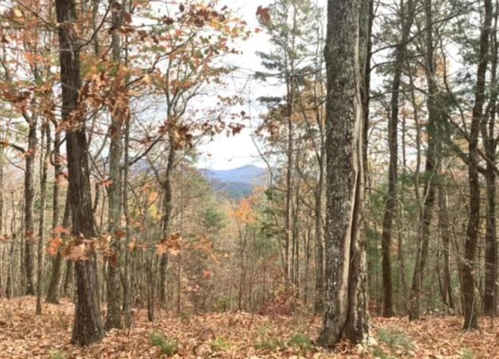 Lot 17 Abbott Mill Road, Ellijay GA 30540 - Primary photo