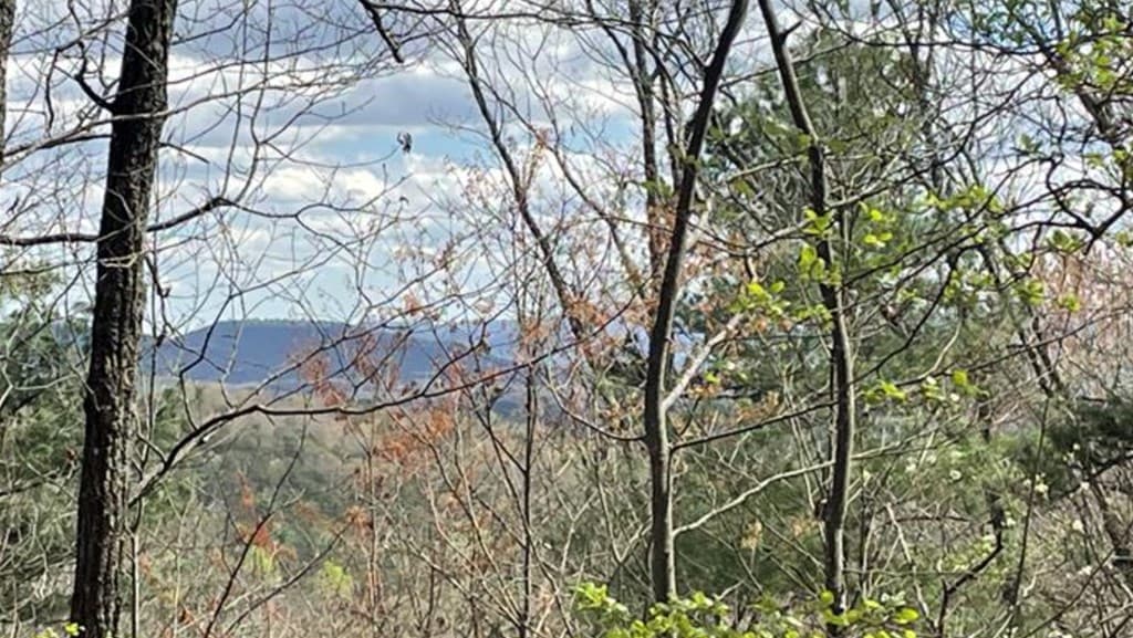 Lot 17 Abbott Mill Road, Ellijay GA 30540 - Photo