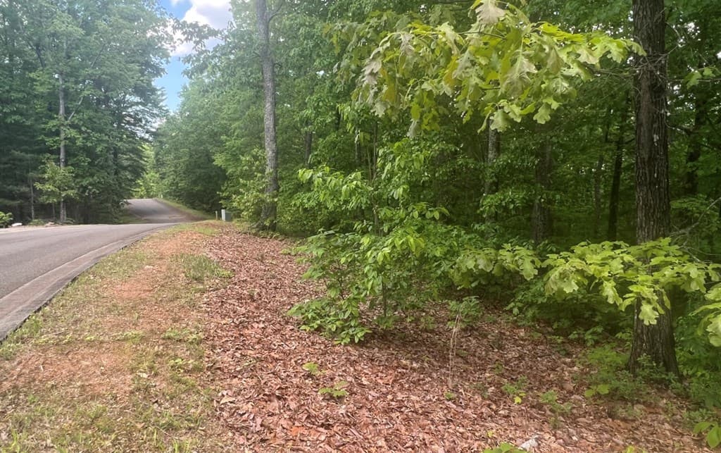 Lot 17 Abbott Mill Road, Ellijay GA 30540 - Photo