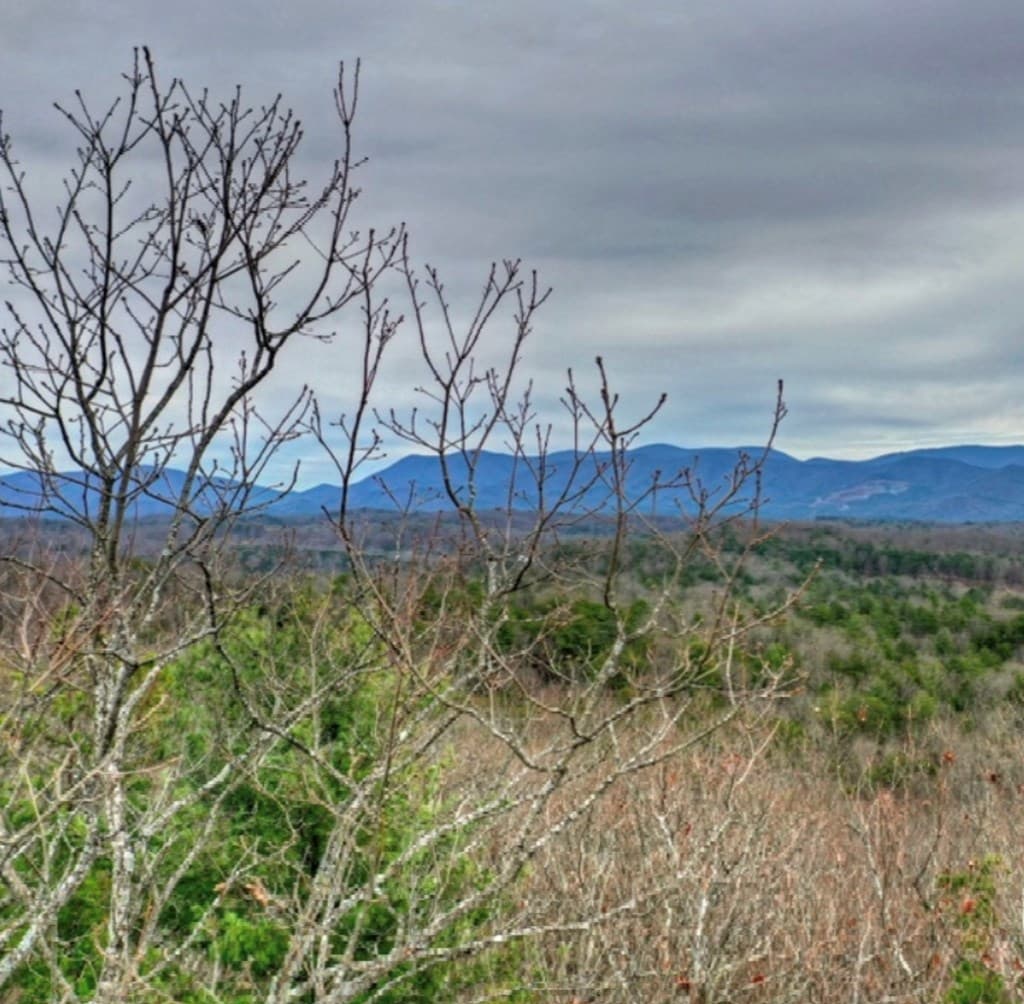 Lot 17 Abbott Mill Road, Ellijay GA 30540 - Photo