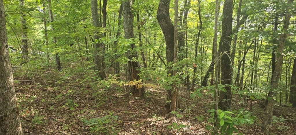 Lot 17 Abbott Mill Road, Ellijay GA 30540 - Photo