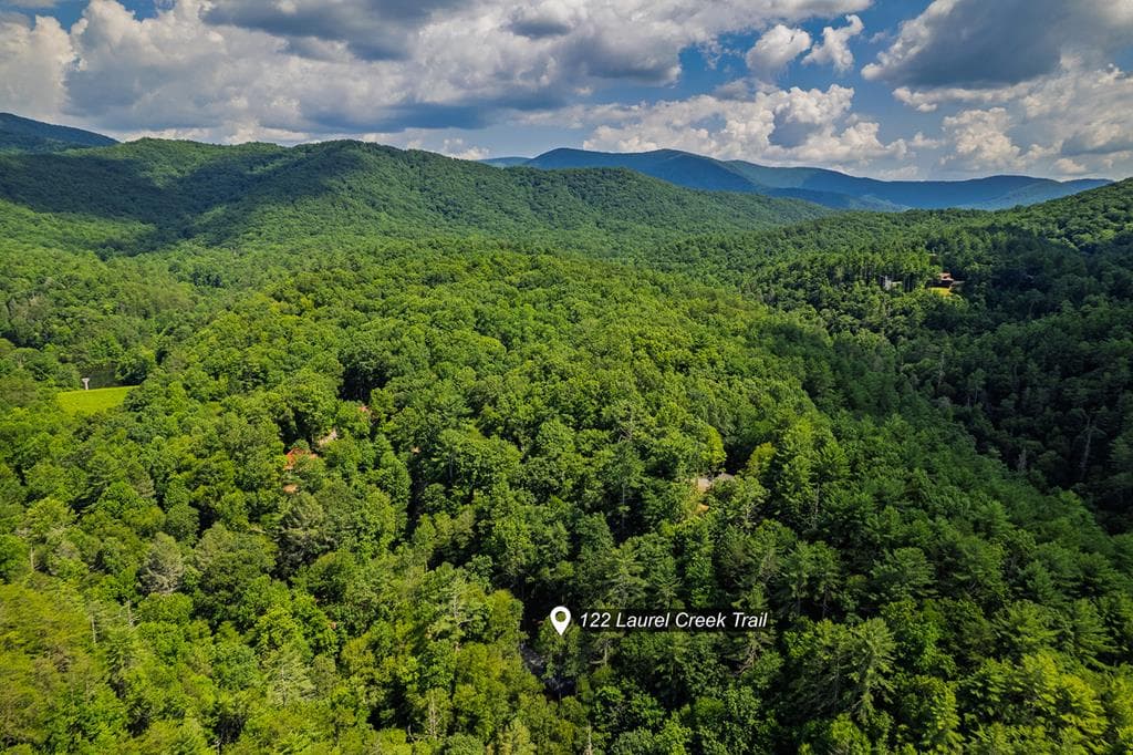 122 Laurel Creek Trail, Cherry Log GA 30522 - Photo