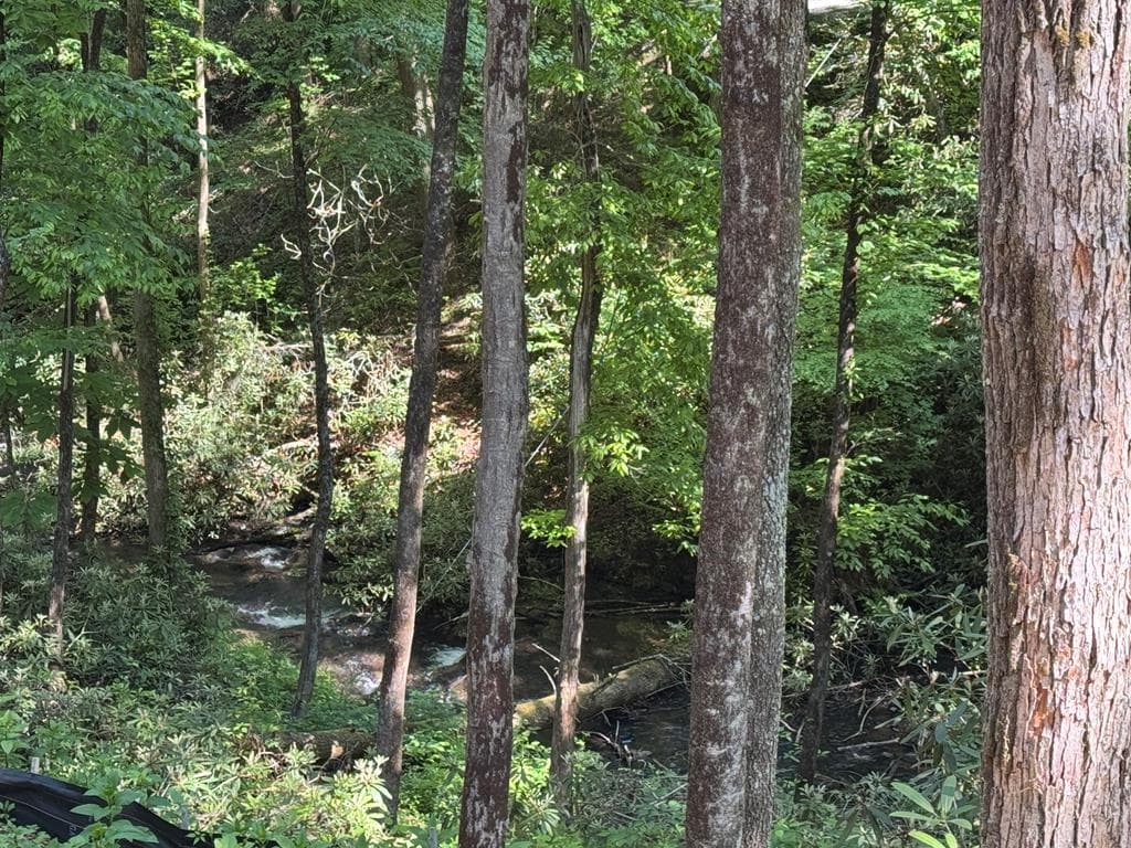 122 Laurel Creek Trail, Cherry Log GA 30522 - Photo