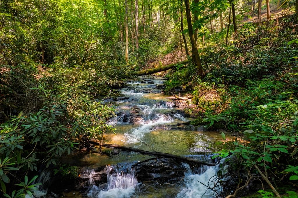 122 Laurel Creek Trail, Cherry Log GA 30522 - Photo