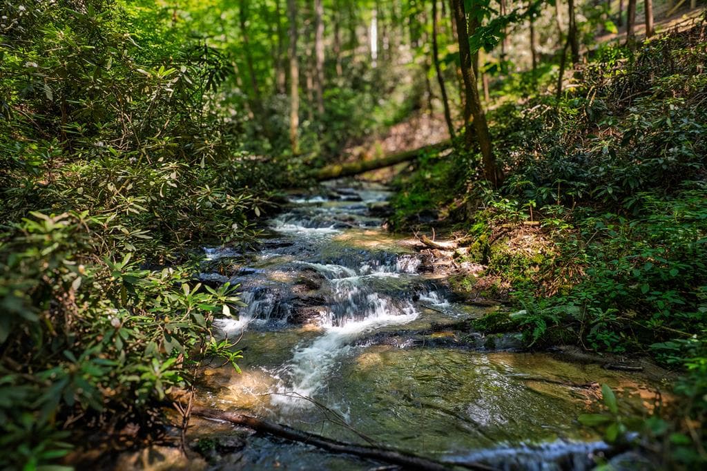 122 Laurel Creek Trail, Cherry Log GA 30522 - Photo