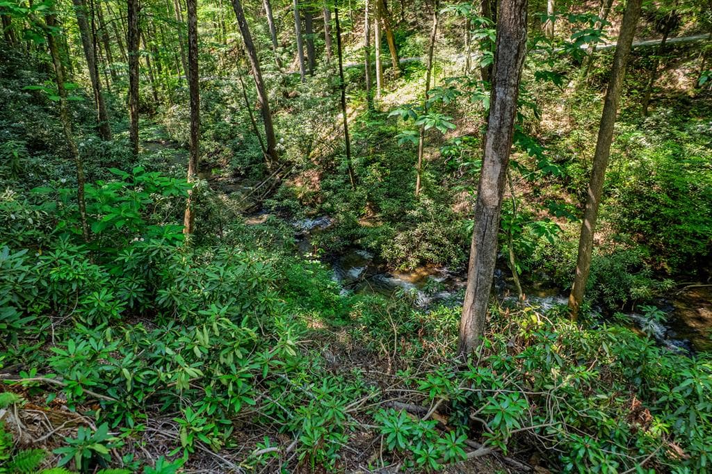 122 Laurel Creek Trail, Cherry Log GA 30522 - Photo