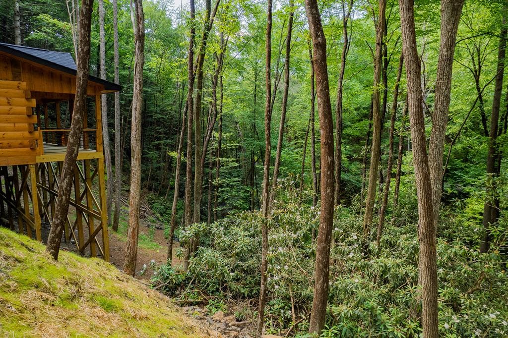 122 Laurel Creek Trail, Cherry Log GA 30522 - Photo