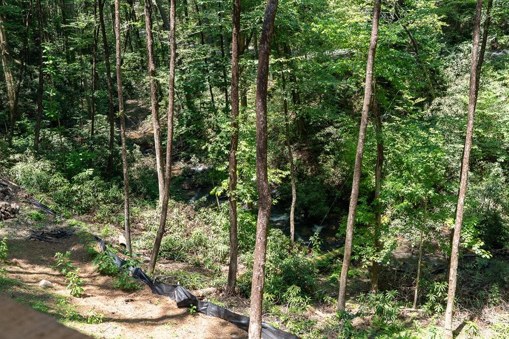 122 Laurel Creek Trail, Cherry Log GA 30522 - Photo