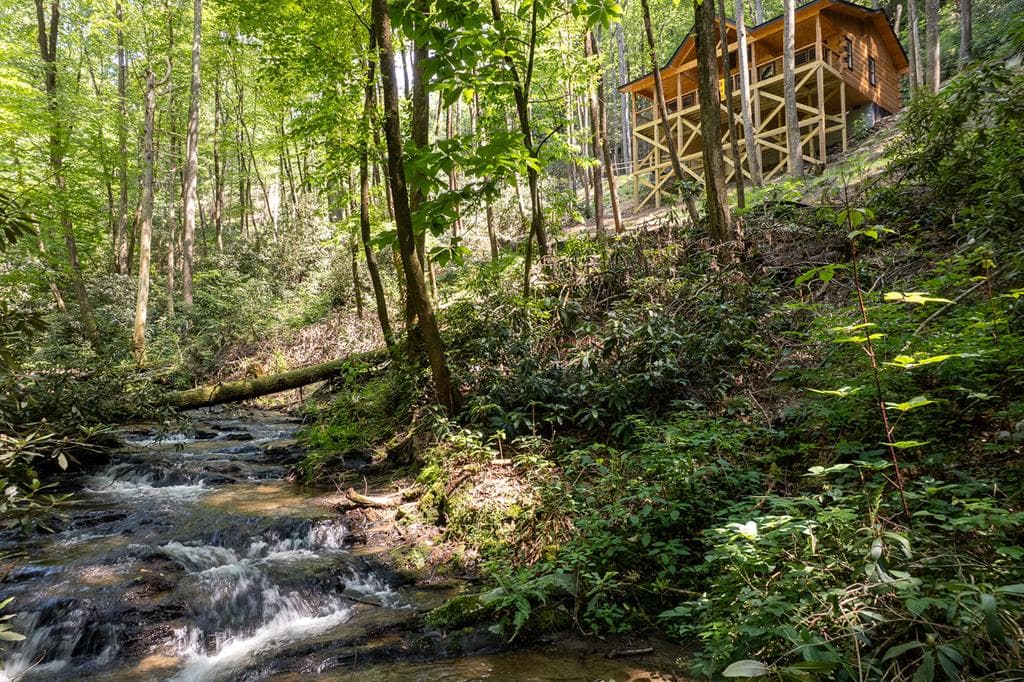122 Laurel Creek Trail, Cherry Log GA 30522 - Photo