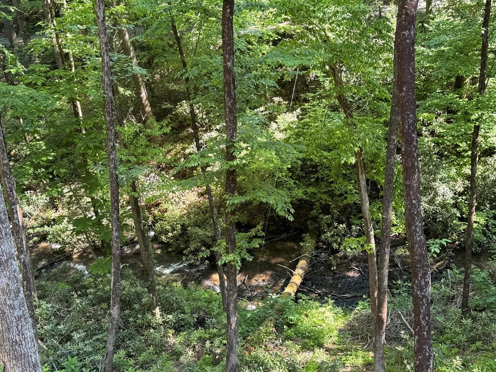 122 Laurel Creek Trail, Cherry Log GA 30522 - Photo