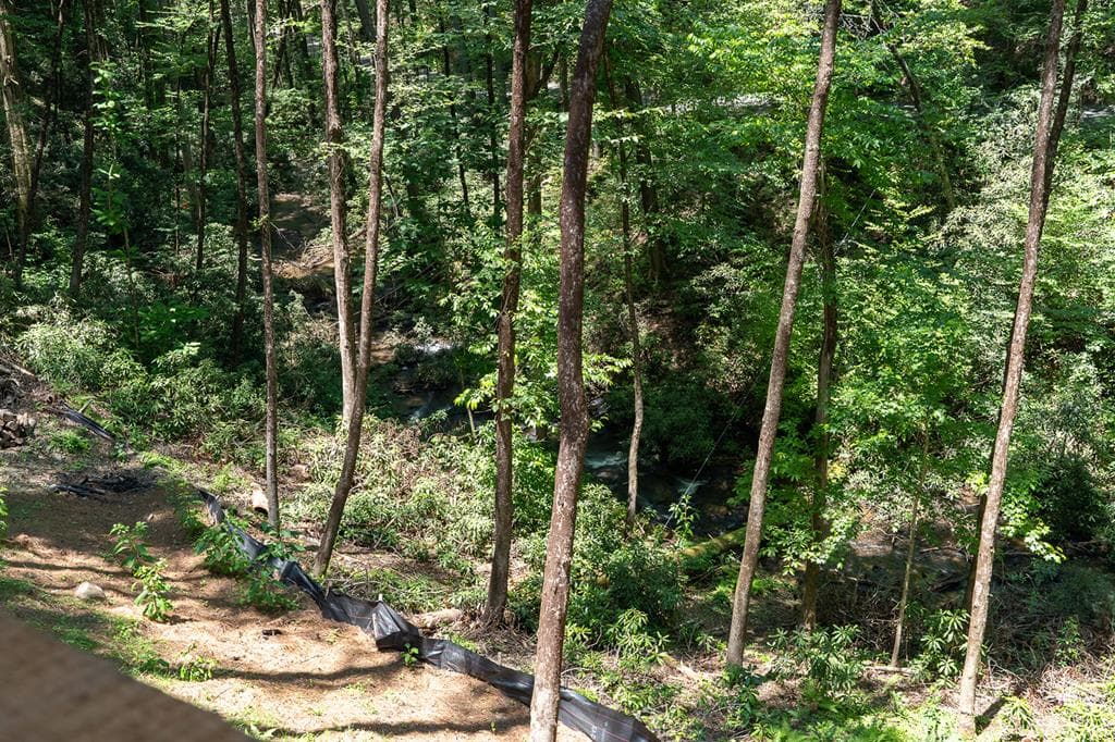 122 Laurel Creek Trail, Cherry Log GA 30522 - Photo