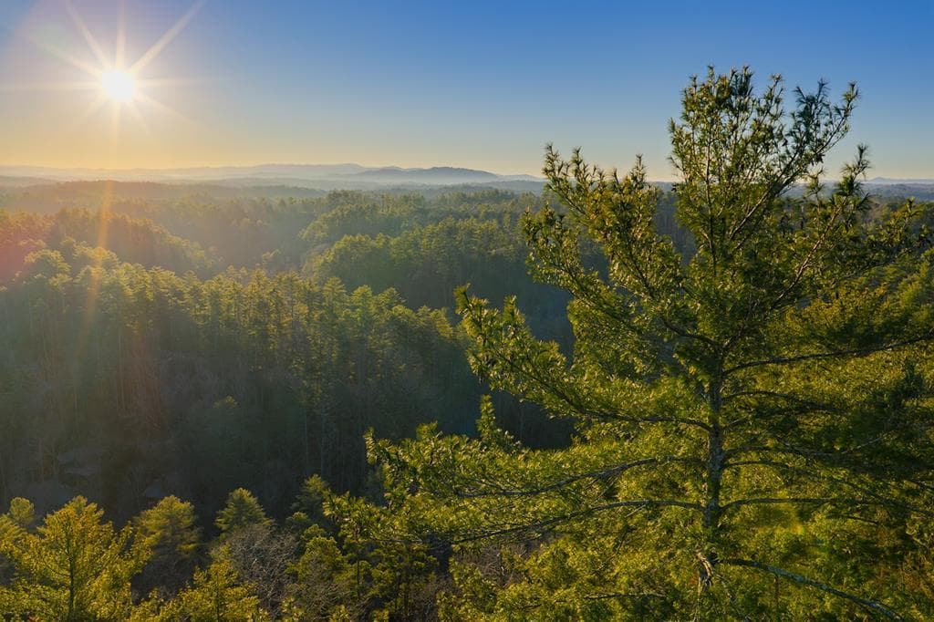 Lot 157 Roaring Forks Lane, Ellijay GA 30540 - Photo