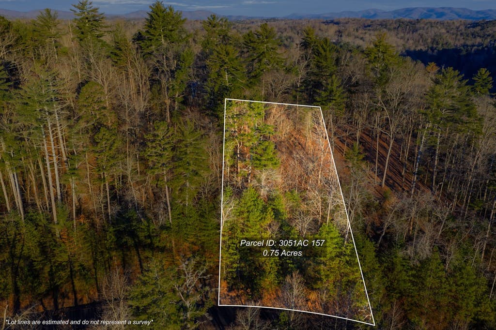 Lot 157 Roaring Forks Lane, Ellijay GA 30540 - Photo