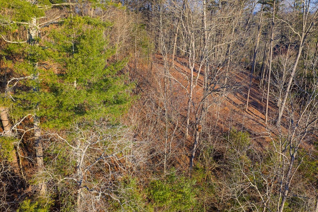 Lot 157 Roaring Forks Lane, Ellijay GA 30540 - Photo