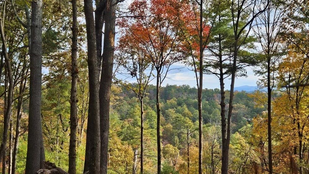 Lot 157 Roaring Forks Lane, Ellijay GA 30540 - Photo