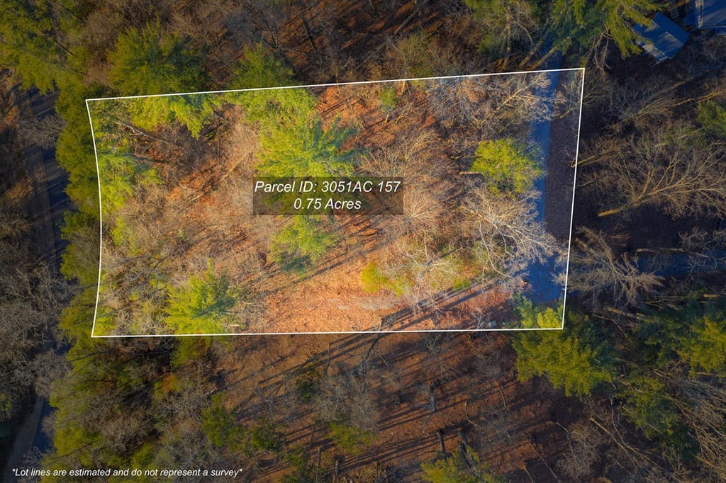 Lot 157 Roaring Forks Lane, Ellijay GA 30540 - Photo