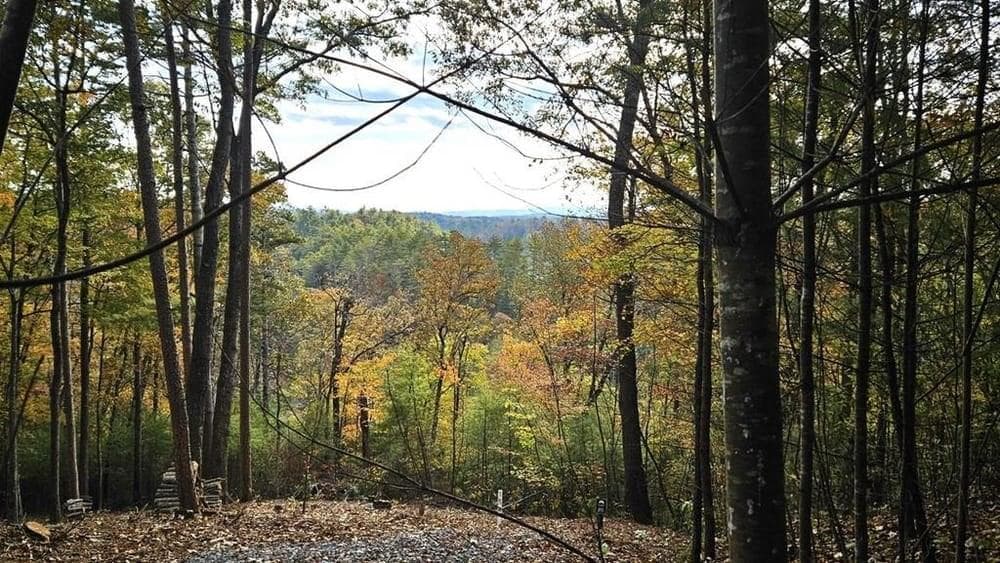 Lot 157 Roaring Forks Lane, Ellijay GA 30540 - Primary photo