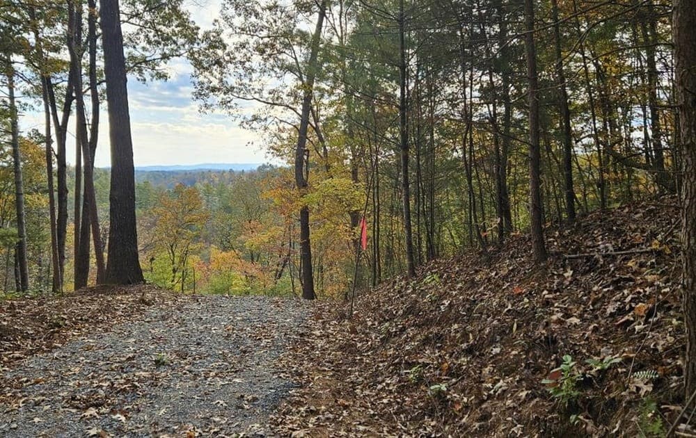 Lot 157 Roaring Forks Lane, Ellijay GA 30540 - Photo