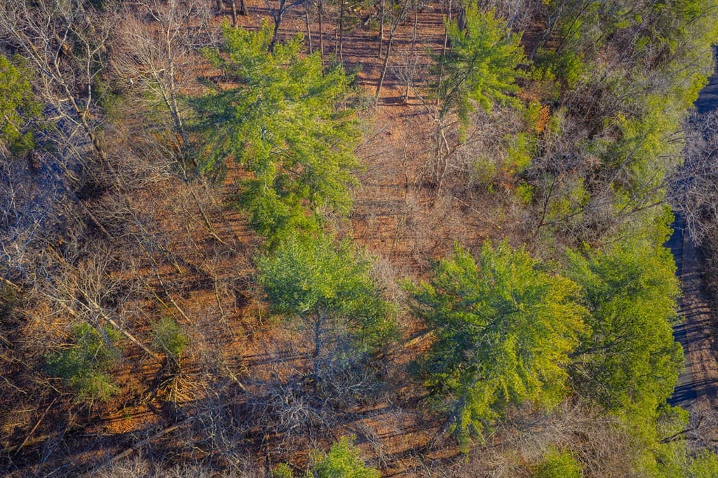 Lot 157 Roaring Forks Lane, Ellijay GA 30540 - Photo