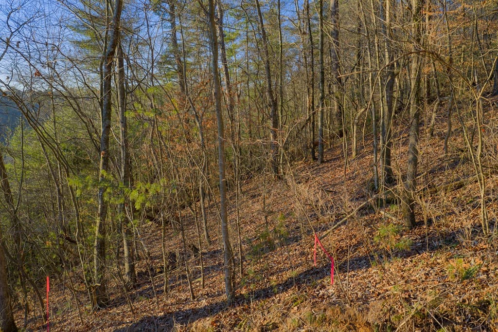 Lot 157 Roaring Forks Lane, Ellijay GA 30540 - Photo