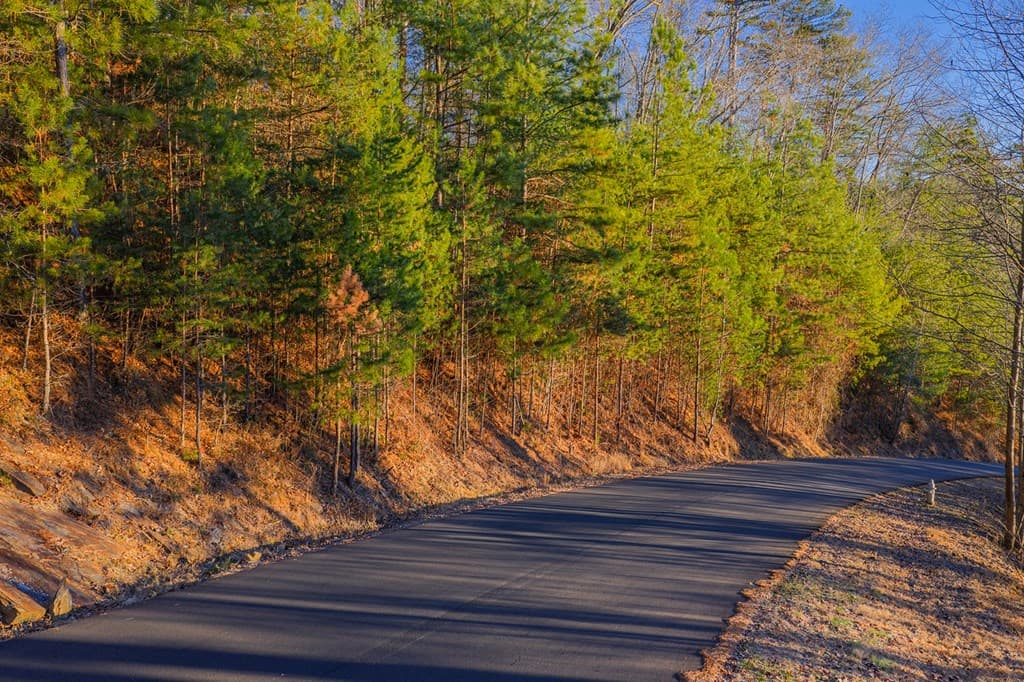 Lot 157 Roaring Forks Lane, Ellijay GA 30540 - Photo