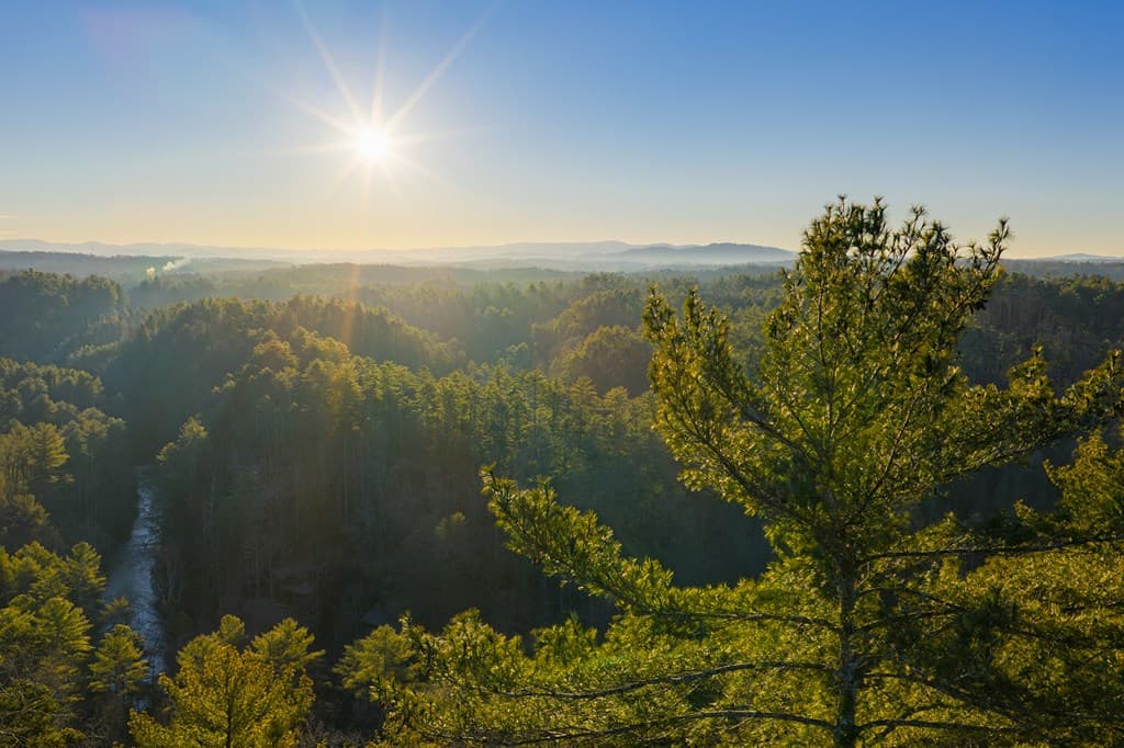 Lot 157 Roaring Forks Lane, Ellijay GA 30540 - Photo