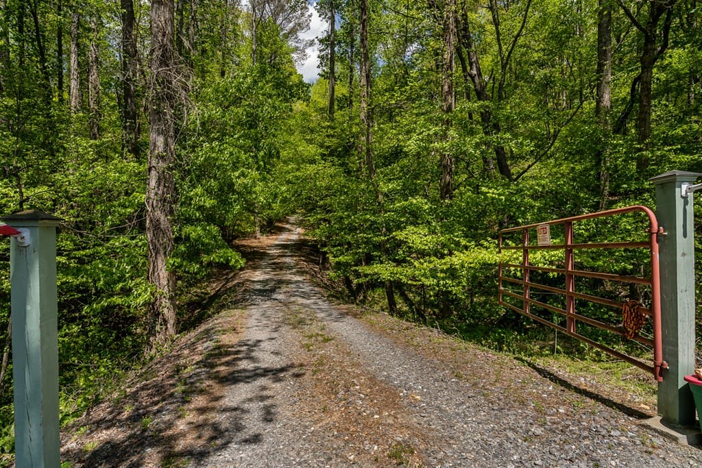 8954 Doublehead Gap Road, Blue Ridge GA 30513 - Photo