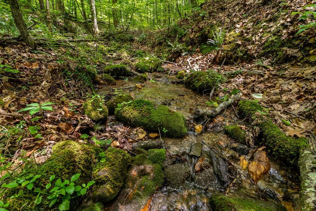 8954 Doublehead Gap Road, Blue Ridge GA 30513 - Photo