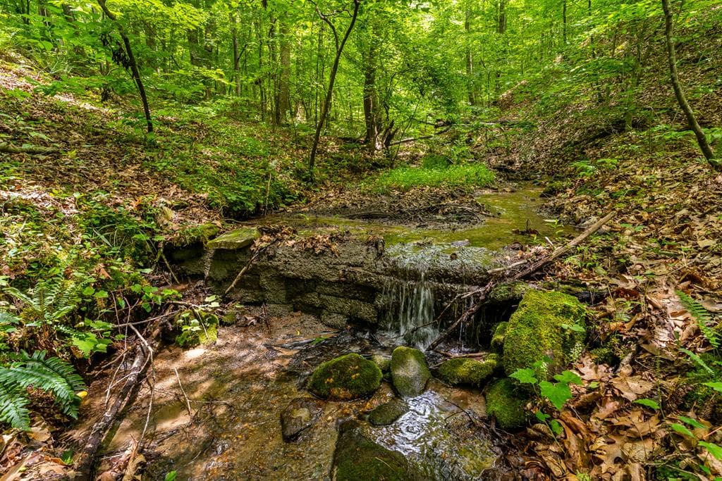 8954 Doublehead Gap Road, Blue Ridge GA 30513 - Photo