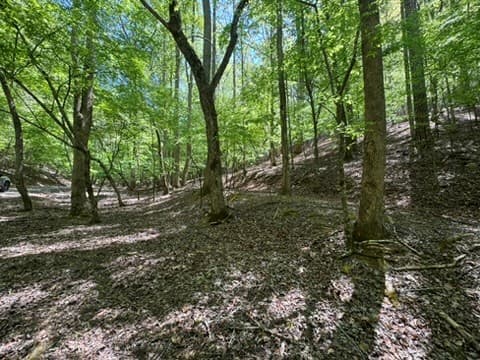 Lot 1972 Nancy Court, Ellijay GA 30540 - Photo