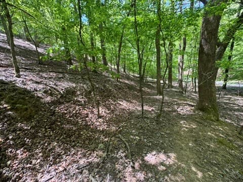 Lot 1972 Nancy Court, Ellijay GA 30540 - Photo