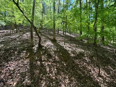 Lot 1972 Nancy Court, Ellijay GA 30540 - Photo