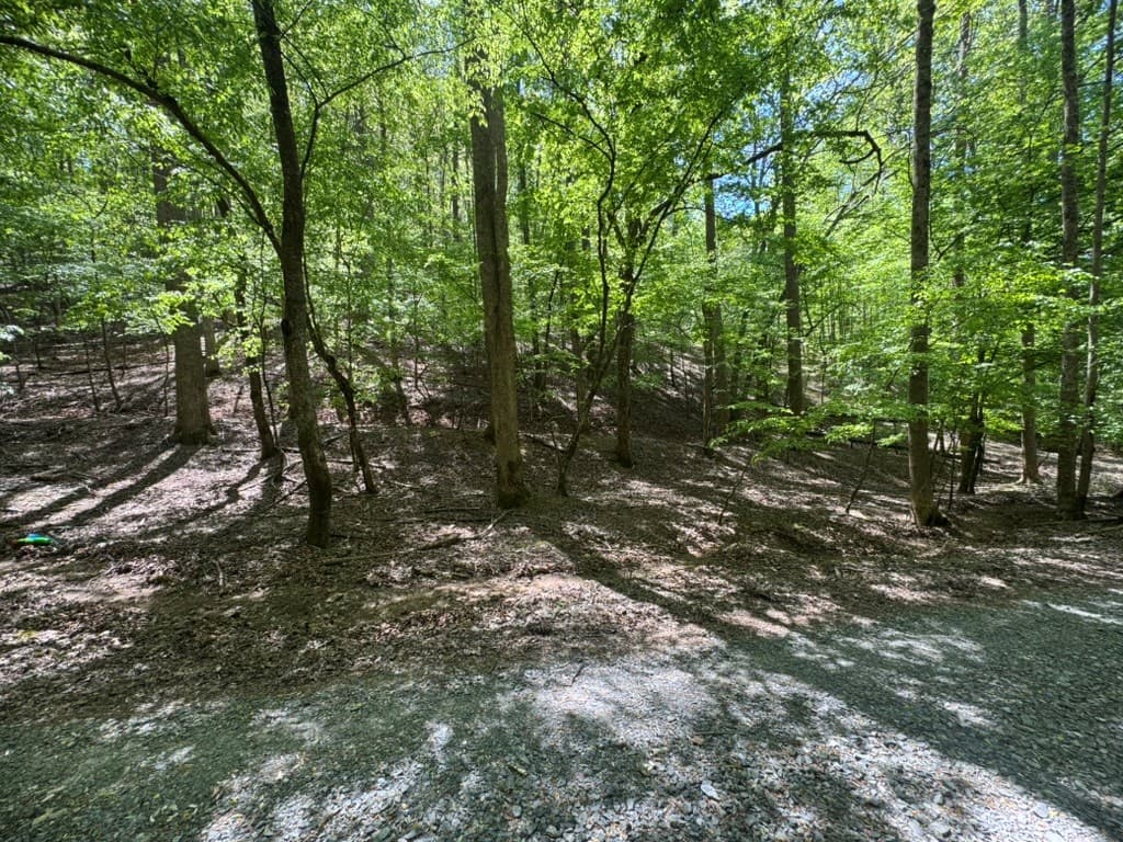 Lot 1972 Nancy Court, Ellijay GA 30540 - Photo