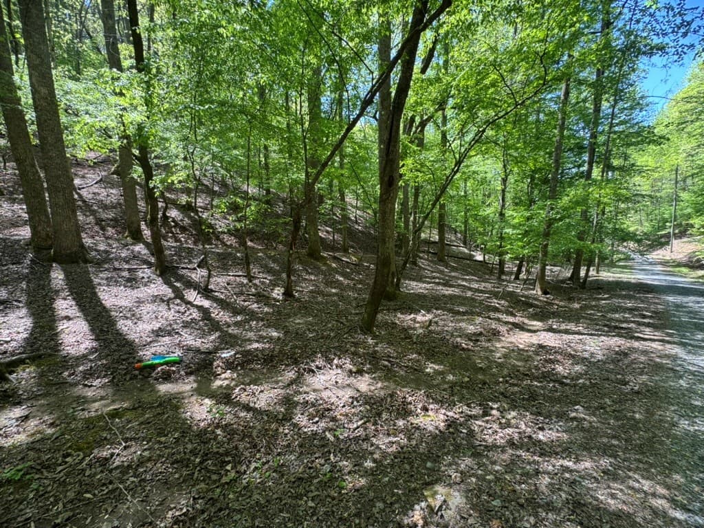Lot 1972 Nancy Court, Ellijay GA 30540 - Photo