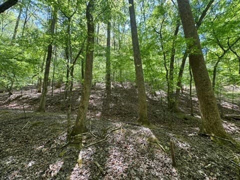 Lot 1972 Nancy Court, Ellijay GA 30540 - Photo