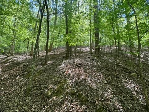 Lot 1972 Nancy Court, Ellijay GA 30540 - Primary photo