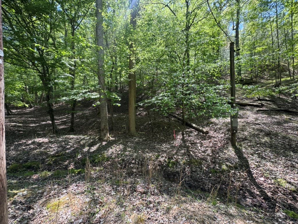 Lot 1972 Nancy Court, Ellijay GA 30540 - Photo