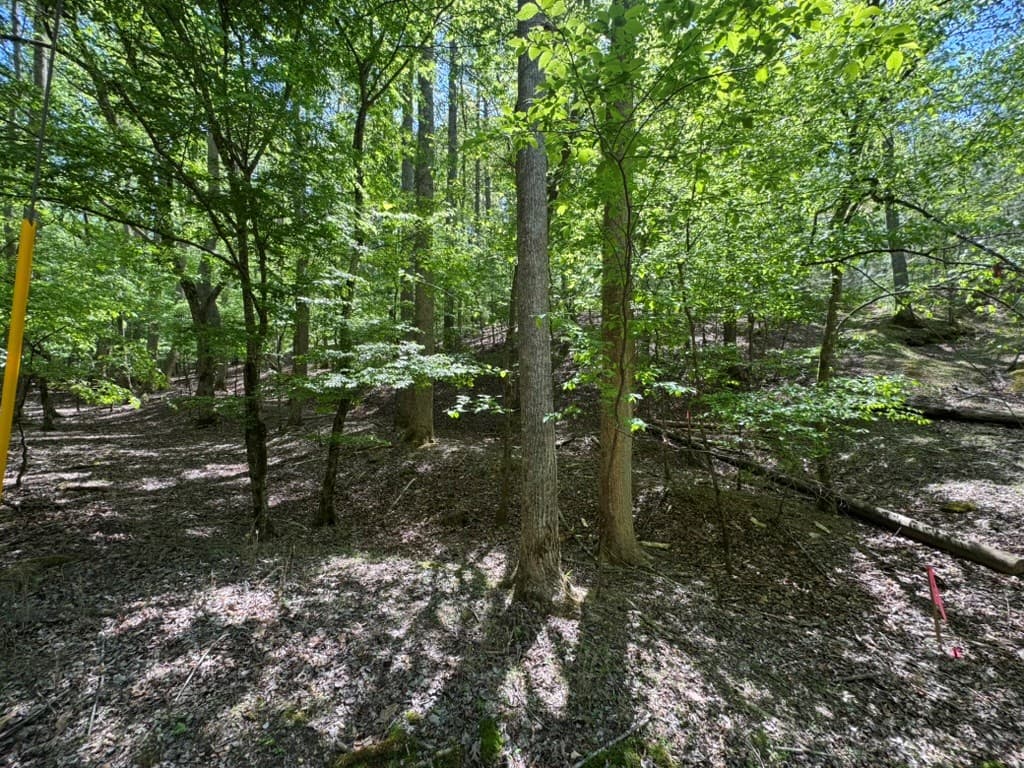 Lot 1972 Nancy Court, Ellijay GA 30540 - Photo