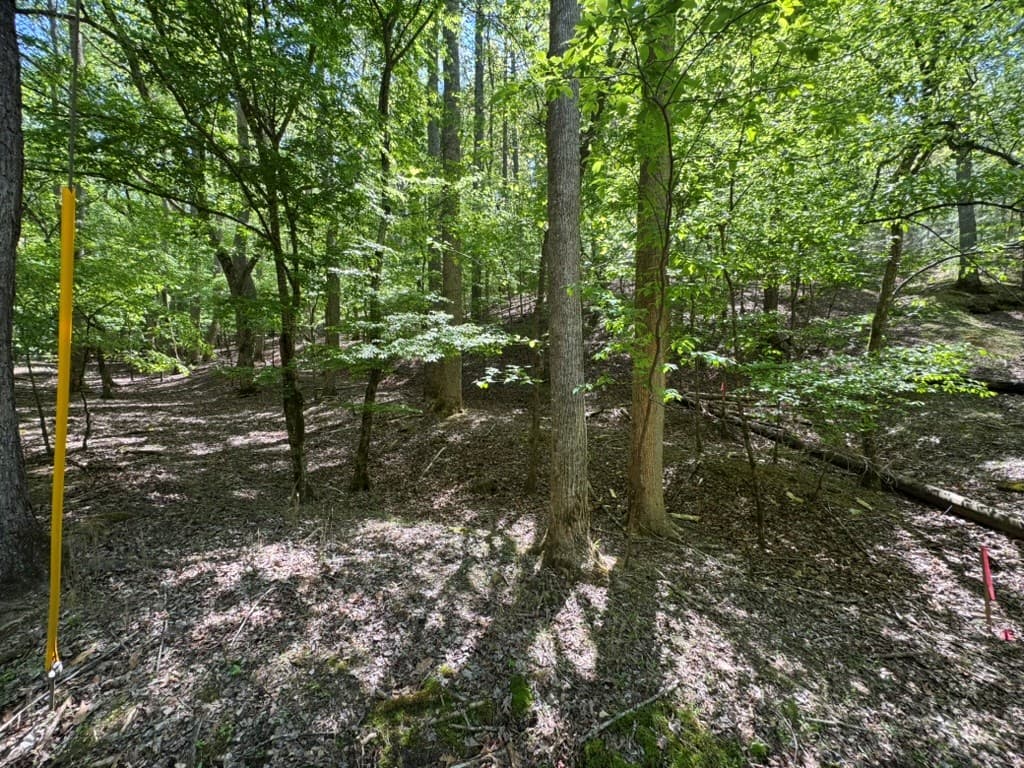 Lot 1972 Nancy Court, Ellijay GA 30540 - Photo