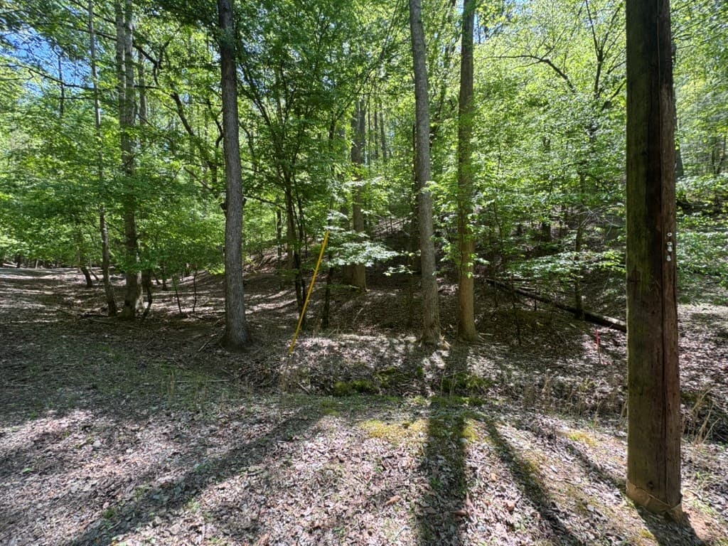 Lot 1972 Nancy Court, Ellijay GA 30540 - Photo