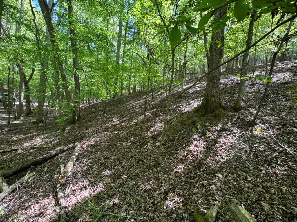 Lot 1972 Nancy Court, Ellijay GA 30540 - Photo