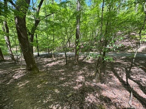 Lot 1972 Nancy Court, Ellijay GA 30540 - Photo